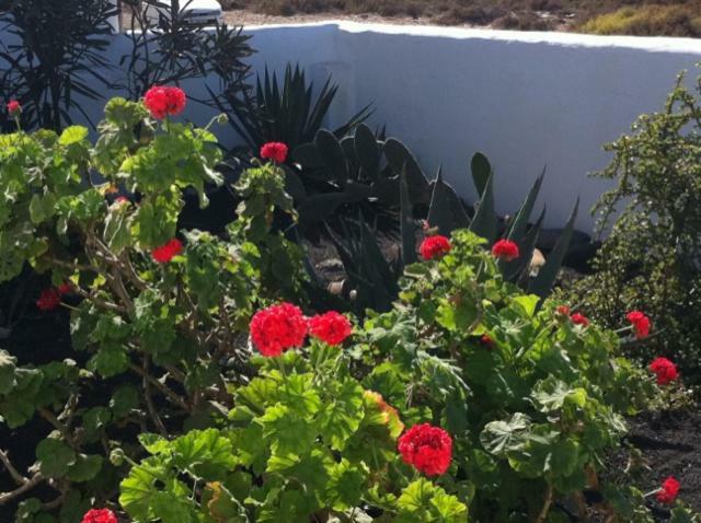 Casa Callao Famara Kültér fotó